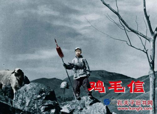 泰勒分校 Diploma in Environmental Science